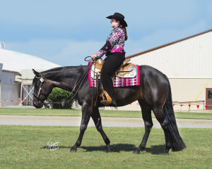 Hemp Products for Horses Owner Jeri and her horse, A Diva By Moonlight. H&J Equine hemp products for horses co-owner Jeri, and A Diva by Moonlight. CBD for equines is an alternative to traditional pharmaceuticals.